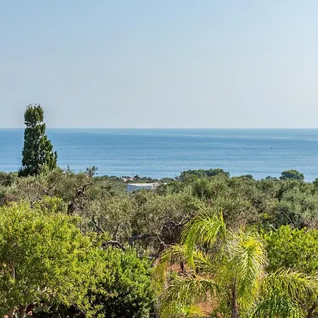 Villa Vanessa